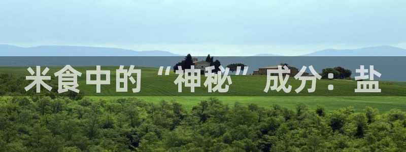 威九国际fX8x