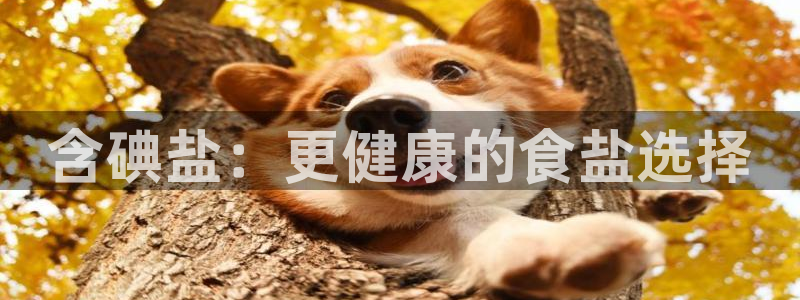 威九国际m78
