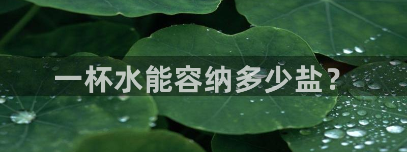 威九国际HP