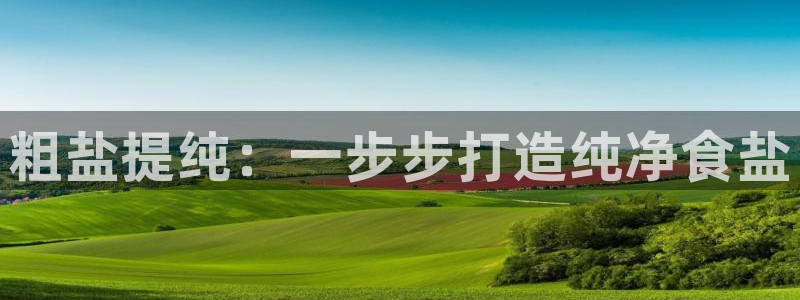 威九国际官网版