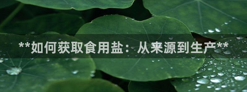 威九国际网站经常打不开怎么办