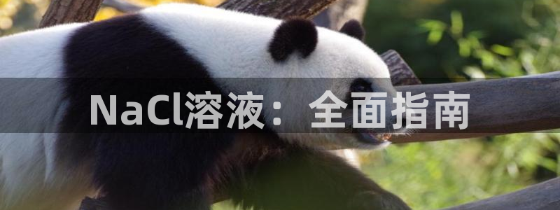 威九国际安全吗