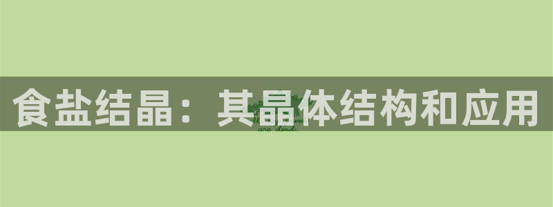 威九国际app网站