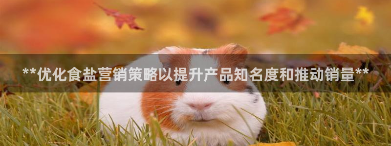 威九国际在哪里