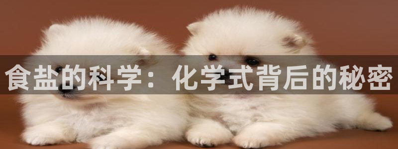 威九国际官网在线进入网站查询
