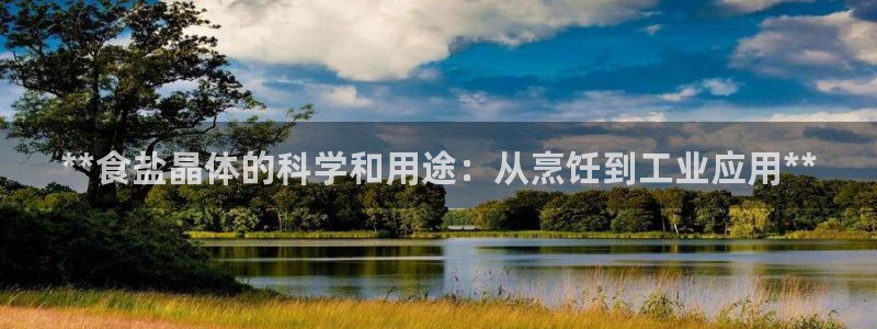 威九国际网站客服电话多少啊