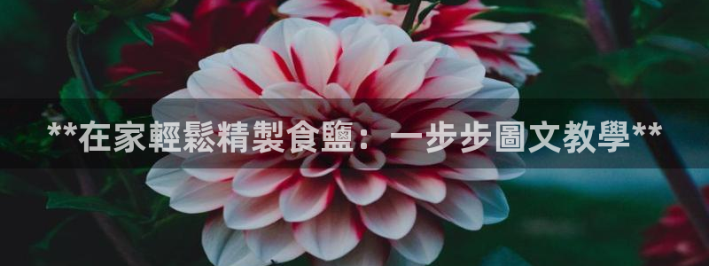 78mppt威九国际