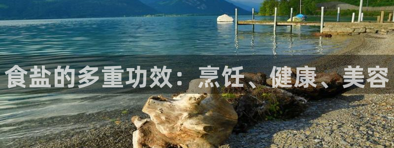 威九国际小说