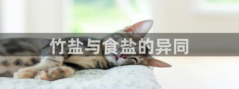 威九国际女演员名单介绍