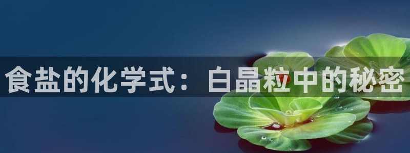 威九国际游戏网站