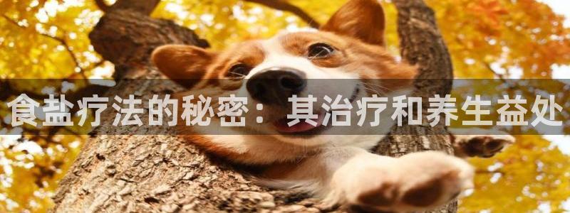 威九国际app客服电话