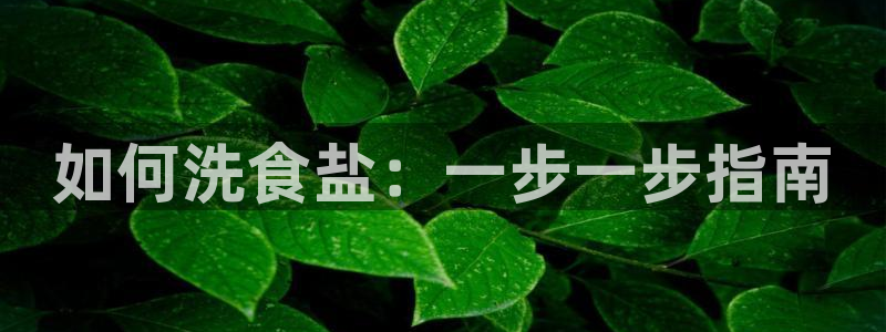威九国际网站链接