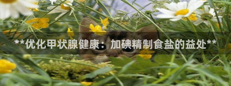威九国际的金融服务