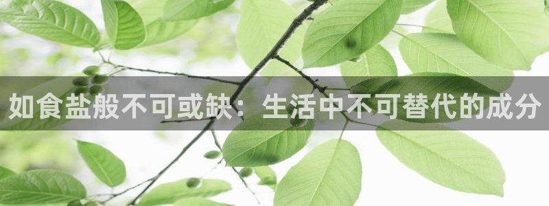 78m.ppt威九国际官网版