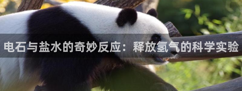 威九国际网站入囗