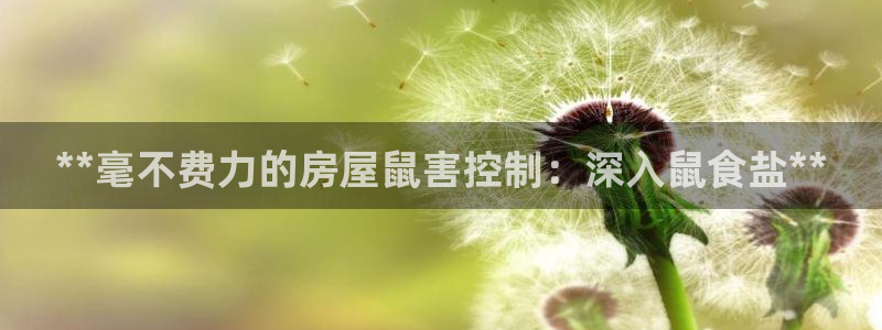 威九国际旗下艺人有谁