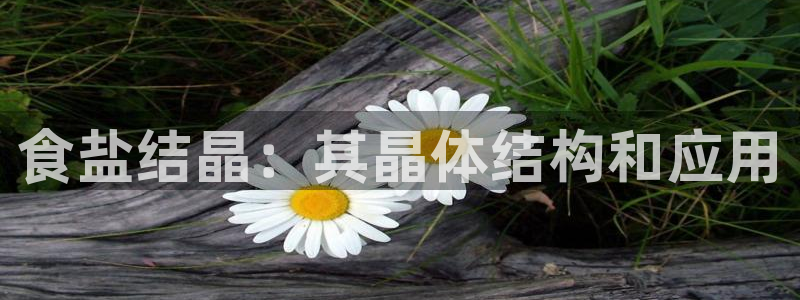 威九国际软件公司简介