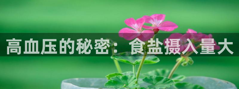 78mapp威九国际网页版