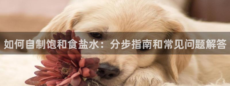 威九国际真人玩家在线对战