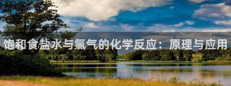 威九国际网站入口官网首页