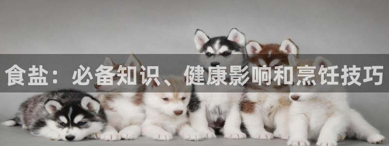 威九国际娜娜