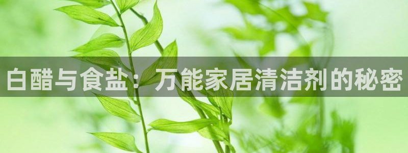 威九国际男演员