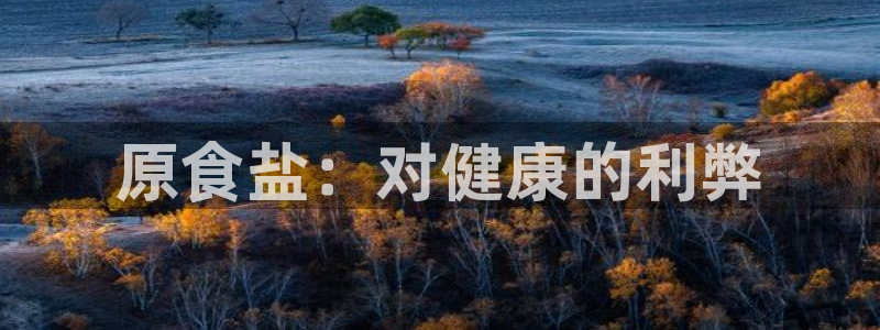 威九国际系列