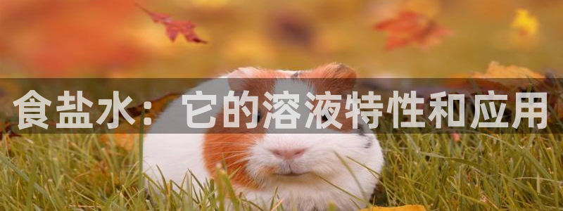 威九国际动漫