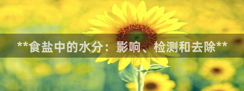 威九国际宣传片