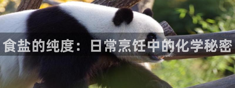 78mapp威九国际成全视频
