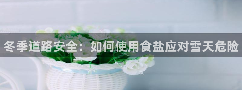 威九国际女星