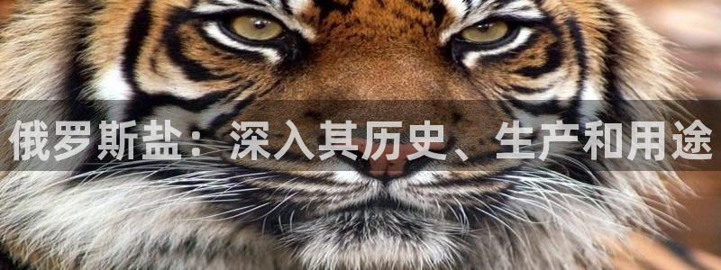 威九国际app网站