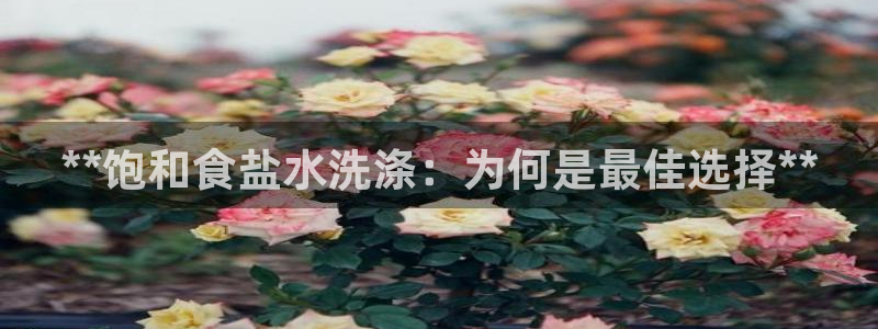 威九国际清砖码头怎么样