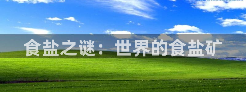 威九国际网站入口地址在哪里