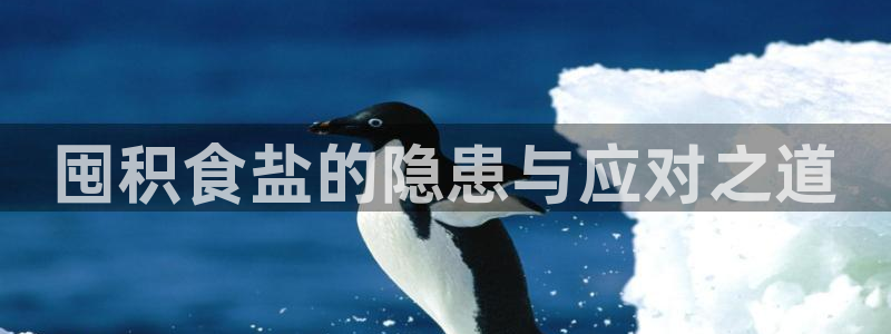 威九国际精彩推荐