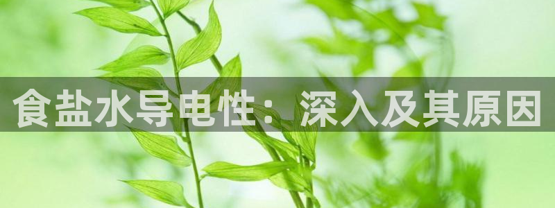 威九国际安全吗