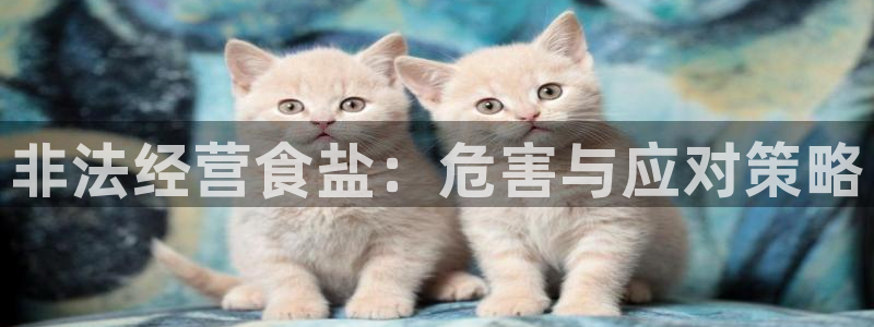 威九国际网站更新了吗