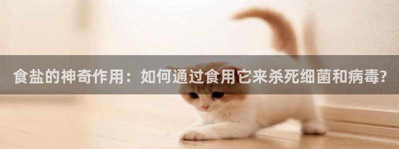 威九国际app