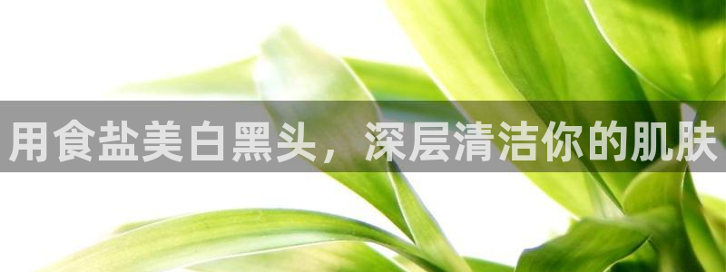 威九国际app哪个地方