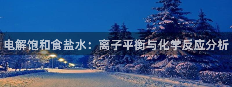 威九国际网站入口地址：电解饱和食盐水：离子平衡与化学反应分析