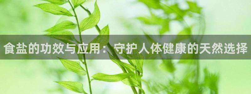 威九国际惠子