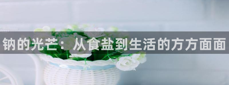 威九国际集团66m一6