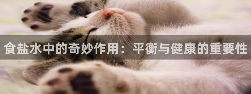 威九国际取款不到账