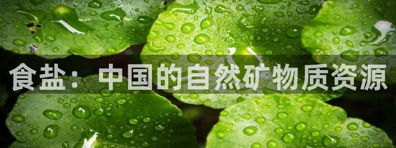 威九国际能提现吗是真的吗