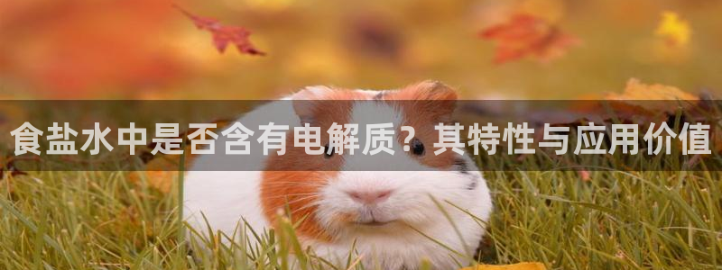 78mppt威九国际：食盐水中是否含有电解质？其特性与应用价