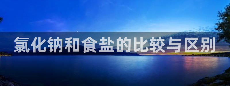 威九国际