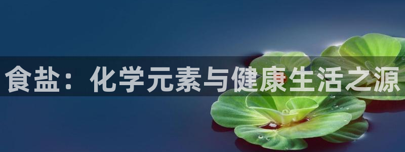 威九国际网站安全吗