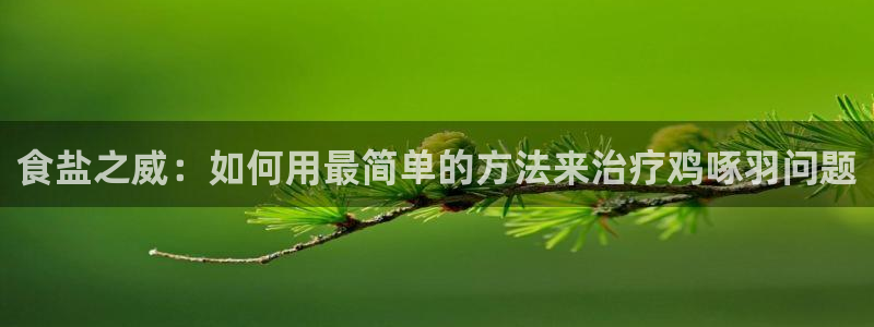 威九国际MV：食盐之威：如何用最简单的方法来治疗鸡啄羽问题