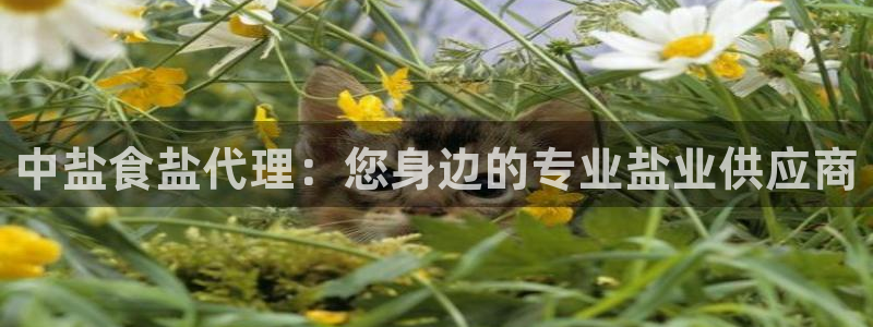 威九国际小剧场