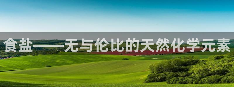 威九国际AN